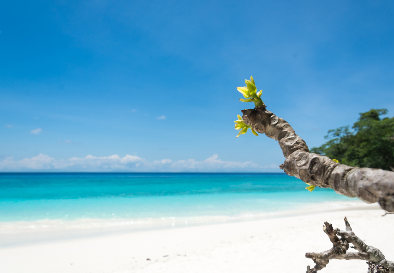 zanzibr beach