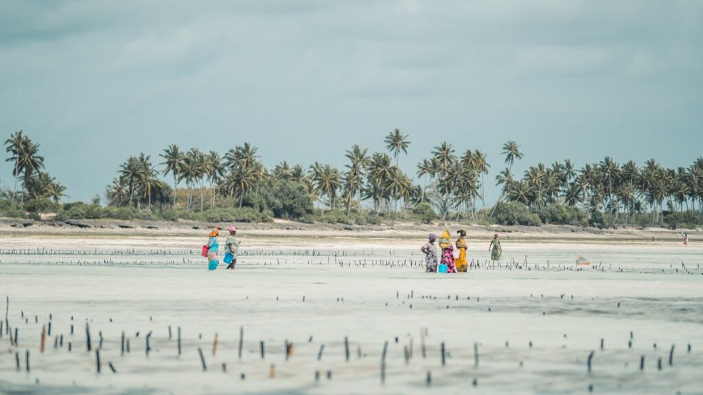 zanzibar-locals